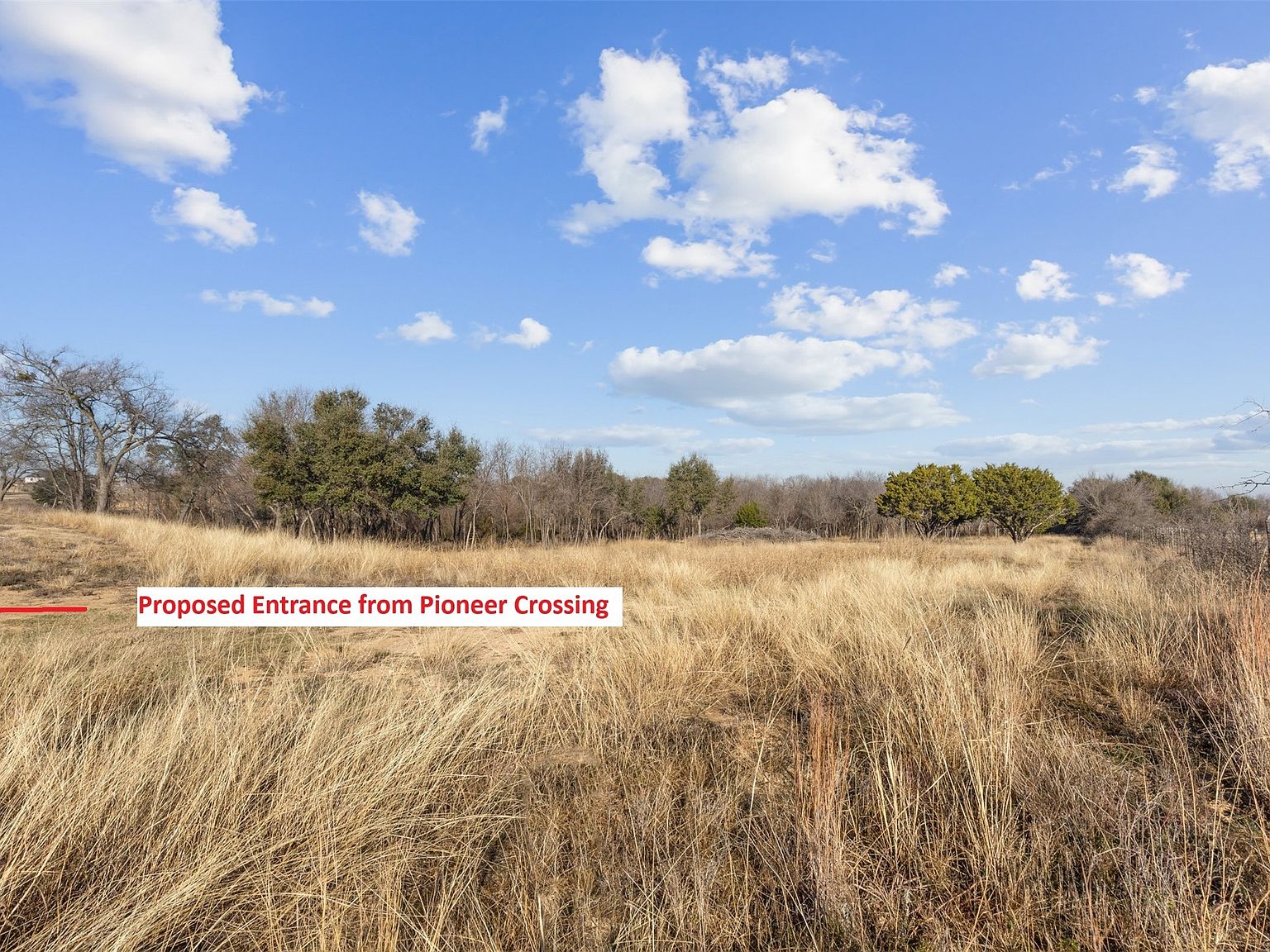 Open pasture at the proposed entrance from Pioneer Crossing with tree line beyond