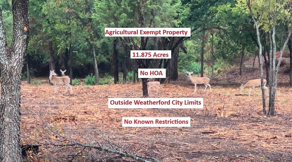 Property highlights: agricultural exempt, 11.875 acres, no HOA, outside Weatherford city limits